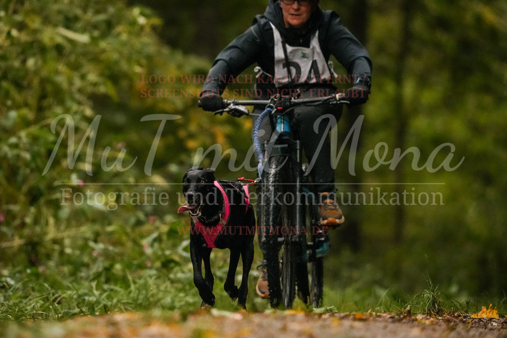 20251005_THS_Turnier-179 | MuT (Mensch und Tier) mit Mona - Fotografie und Tierkommunikation - Realisiert mit Pictrs.com