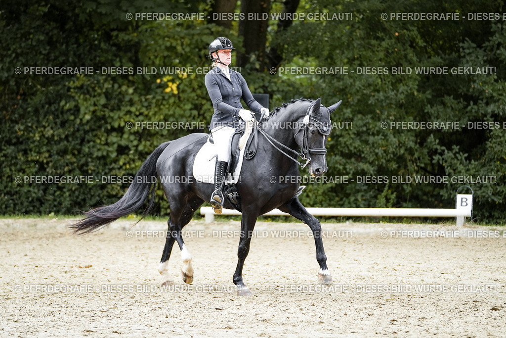 DSC02313 | Pferdegrafie