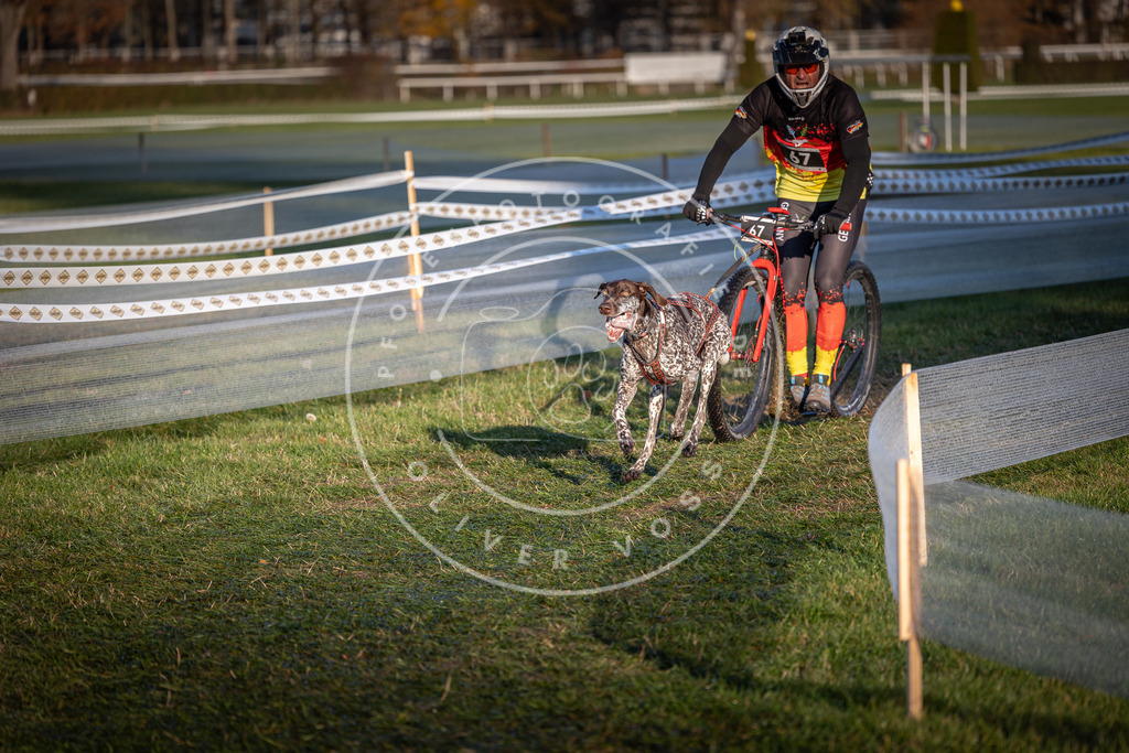 CaniXpix_0L8A3205 | Hundefotografie, Tierfotograf, Pfotenfotografie, Fotoshooting Hund, Hunde Portrait, Hundesport, Hundeportraits, Heideshooting, Hunde, Sportfotograf, Hundefotograf, Turnierhundsport, THS,  - Realisiert mit Pictrs.com