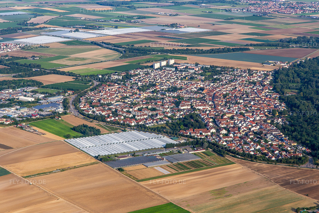 Luftbild: Ortsansicht von Osten im Ortsteil Maudach in Ludwigshafen im Bundesland Rheinland-Pfalz in Deutschland. Foto: IMG_142813.jpg vom 19.07.2024 durch Werner Riehm/FLY-FOTO.de