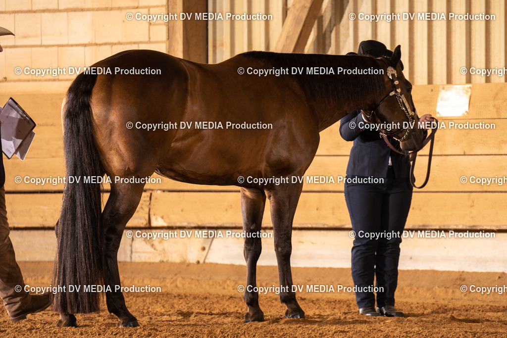 NID00084 | dv-media-shop - Realisiert mit Pictrs.com