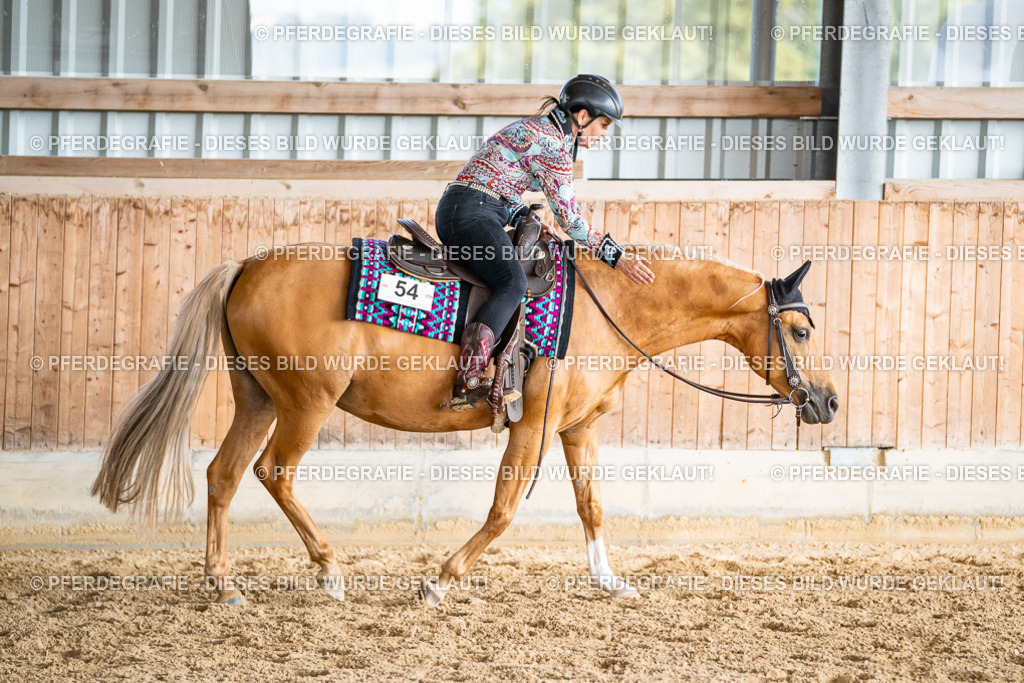 DSC08990 | Pferdegrafie