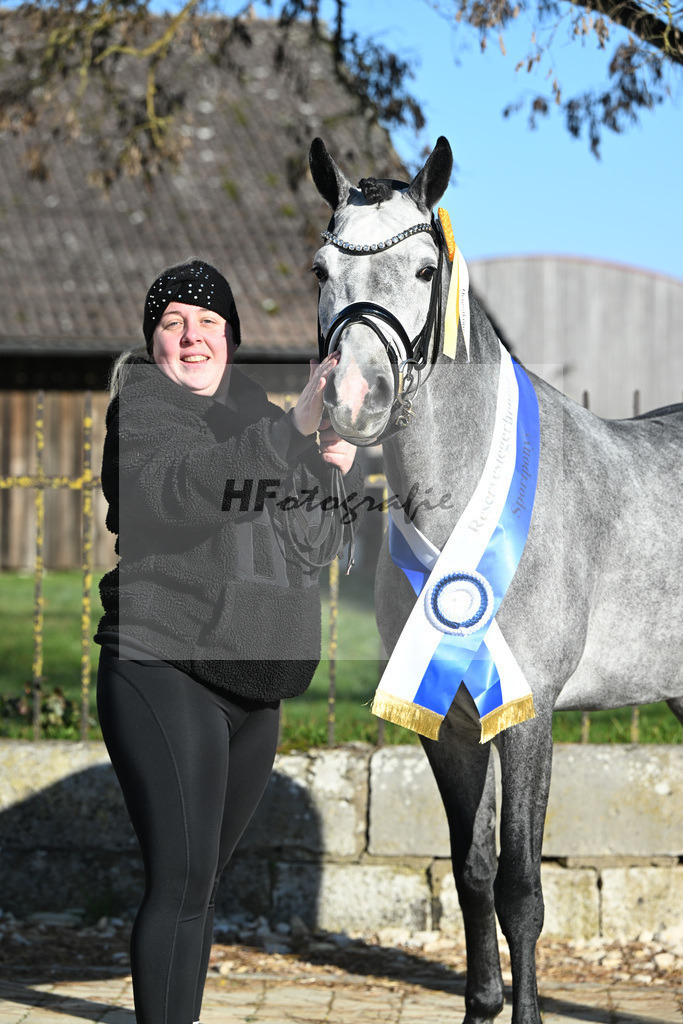 Kat-Nr. 3 Golden Diamond K v. GoldenGray_Koldas_49250379 | hf-fotografie - Realisiert mit Pictrs.com