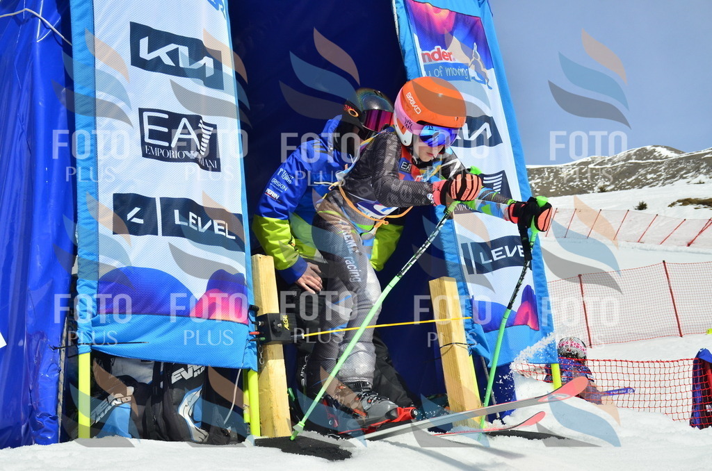 _ELE1203 | holidayphoto