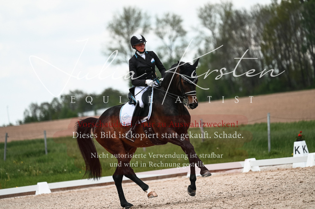 20230514_JK-Röhrsdorf-21-268 | Pferde- und Turnierfotografie in Westsachsen. Pferdeportraits, Auftragszeichnungen und intuitive Kunst.