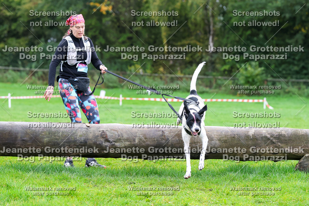 Dog Paparazzi -  SD1026-1072 | Dog Paparazzi Jeanette Grottendiek Fotografie & Videografie - Realisiert mit Pictrs.com