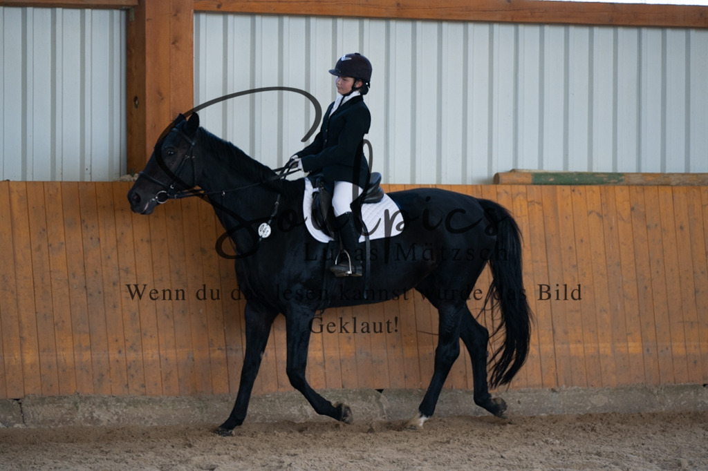 A7V02164 | Pferdefotograf