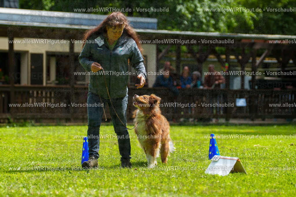 @allesWIRTHgut_Tierfotografie - www.allesWIRTHgut.de - 7R500830 | Professionelle Tierfotografie in Mönchengladbach von Daniel Wirth (allesWIRTHgut). Liebevolle & natürliche Bilder von Hunden & Katzen für unvergessliche Erinnerungen.