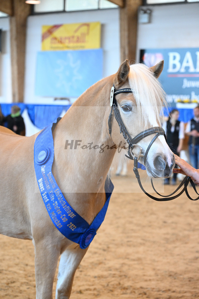 Kat-Nr. 7 Daria v. Armani Ass_Obermaier_60221268 | hf-fotografie - Realisiert mit Pictrs.com