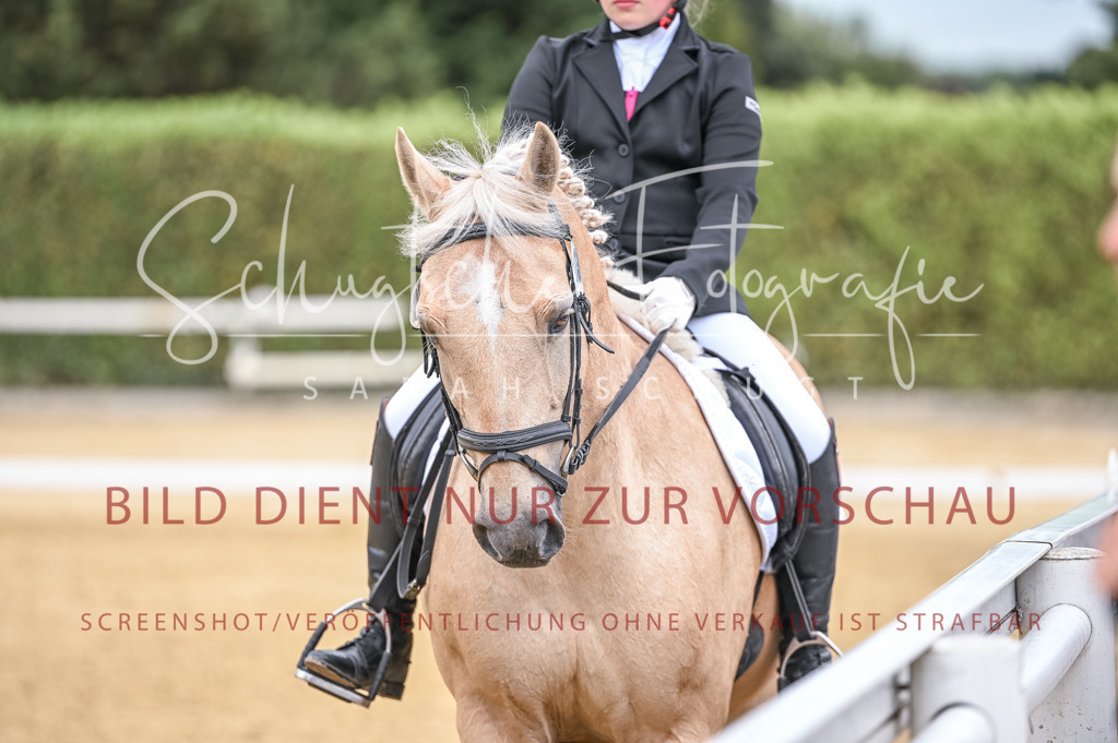 Schugtsche-Aluta25-44.DresssurreiterWB-126 | Schugtsche Fotografie - Realisiert mit Pictrs.com