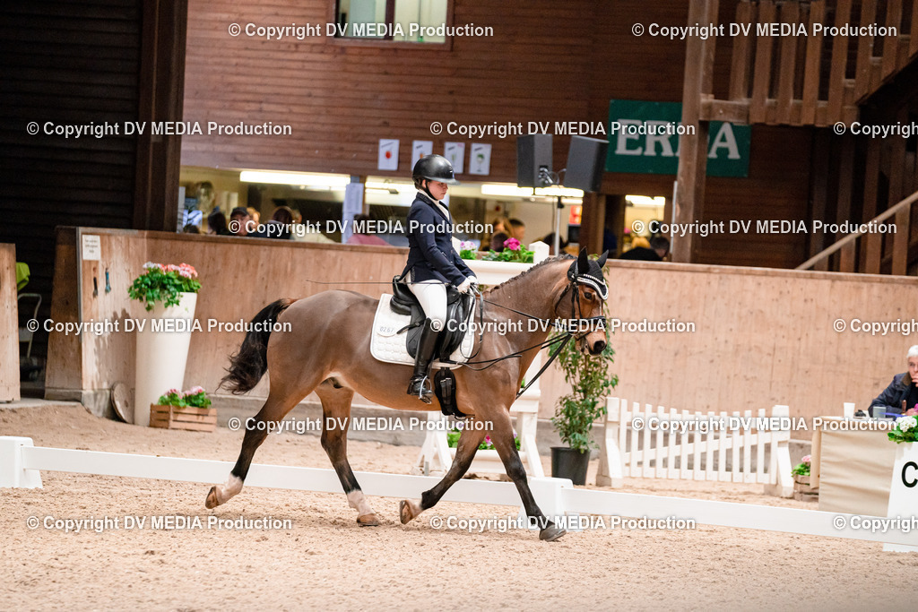 Dressur Tag 2-502 | dv-media-shop - Realisiert mit Pictrs.com