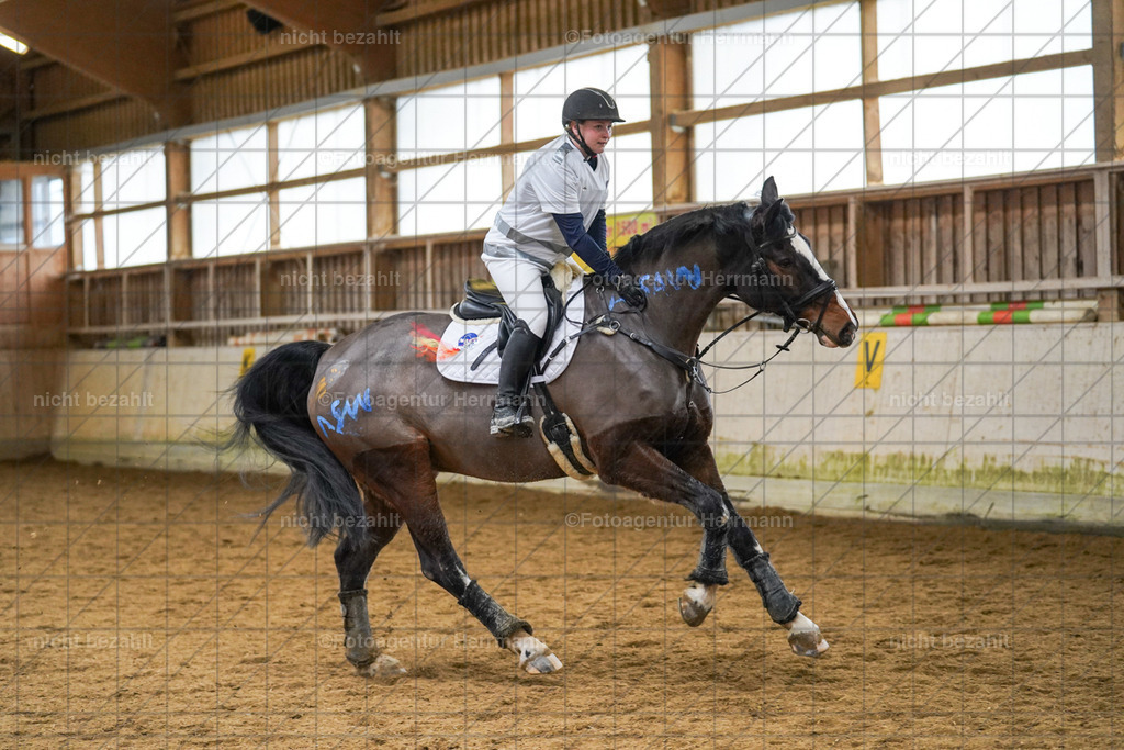 20240211-FAH01578 | Fotoagentur Herrmann, Pferdesport- und Hochzeitsfotografie, Turnierfotografen Bayern