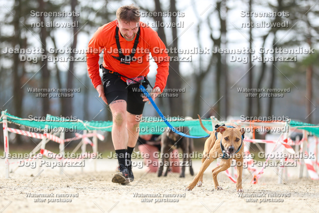 Dog Paparazzi - Strongdog North Mrz26-5415 | Dog Paparazzi Jeanette Grottendiek Fotografie & Videografie - Realisiert mit Pictrs.com