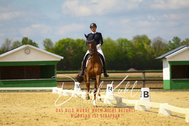 DKP43173 | Turniersportfotografie; Pferdefotografie; Dressurfotografie