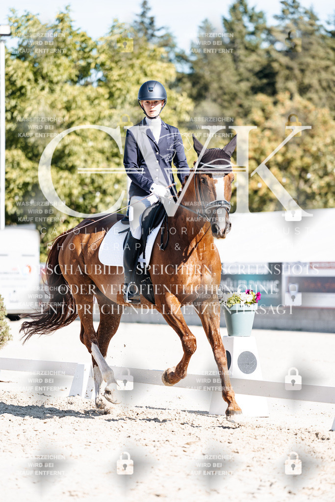 CK908484 | Turnierfotografie Pferdefotografie Trier Rheinland-Pfalz Pferdesport Reitsport Tierfotografie Sportfotografie Pferdevideo Pferdevideografie Equestrianvideography equestrianphotography  - Realisiert mit Pictrs.com