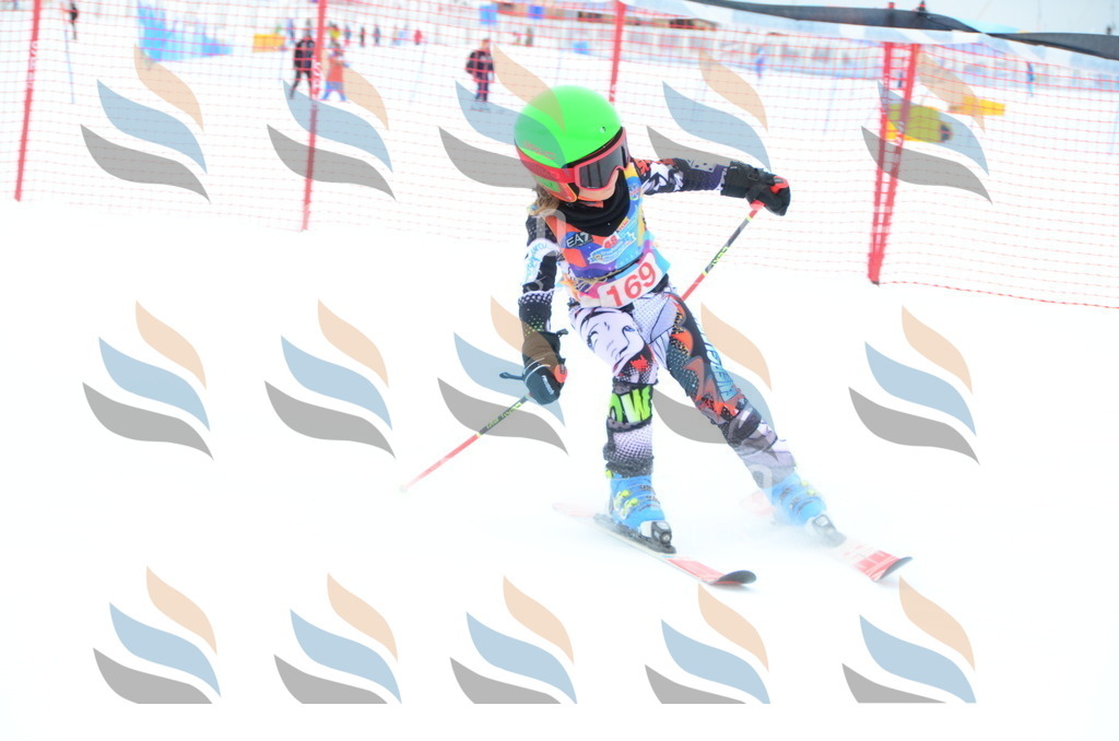 DSC_1596 | holidayphoto