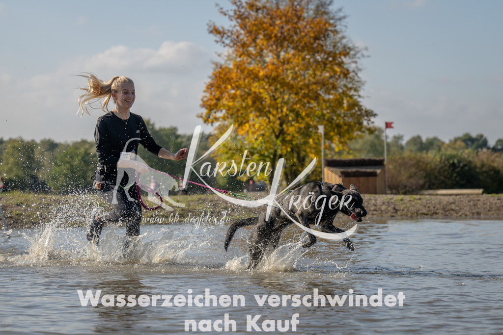 1416_ZZ91987 | kk-dogfotos