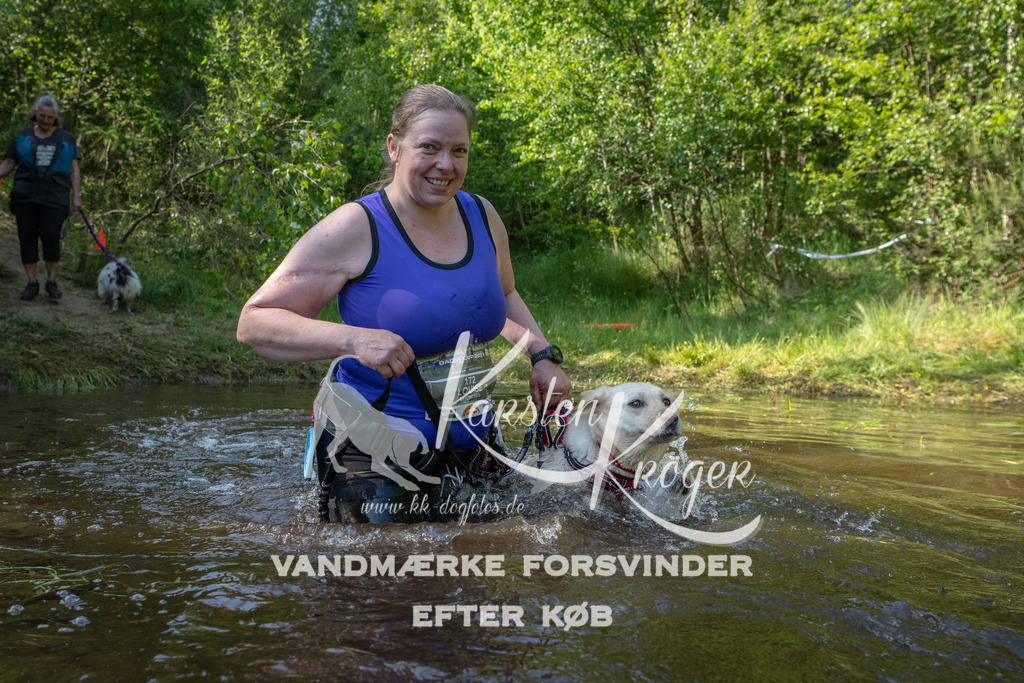 1658DKK991445 | kk-dogfotos