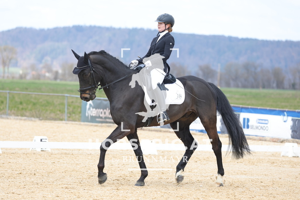 0P6A7055 | Willkommen bei Brunnmayr - Design & Fotografie – Ihrem Spezialisten für Reitturniere und Pferdeveranstaltungen in Oberösterreich, Salzburg und Bayern! Seit über 17 Jahren sind wir leidenschaftlich dabei.