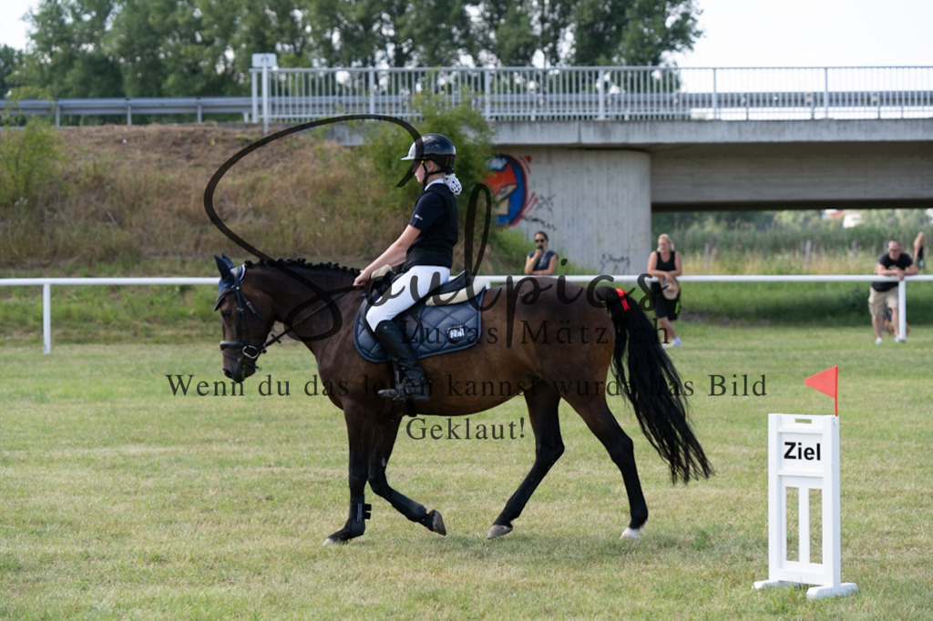 A7V00539 2 | Turnier/Reitfotograf