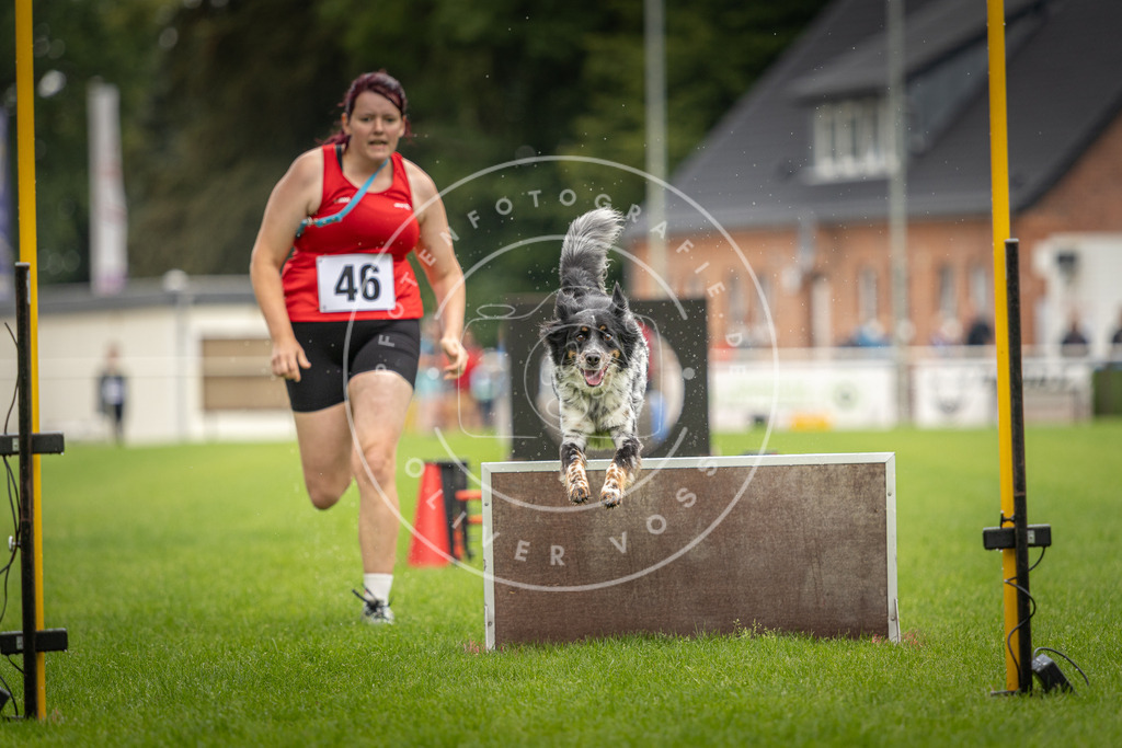 Pfotenfotografie_DV3A5920 | Hundefotografie, Tierfotograf, Pfotenfotografie, Fotoshooting Hund, Hunde Portrait, Hundesport, Hundeportraits, Heideshooting, Hunde, Sportfotograf, Hundefotograf, Turnierhundsport, THS,  - Realisiert mit Pictrs.com