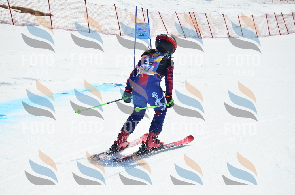 _ELE0707 | holidayphoto