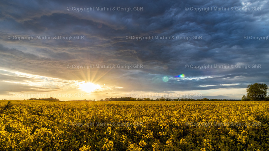 Markus Gerigk_10 | Martini & Gerigk - Realisiert mit Pictrs.com