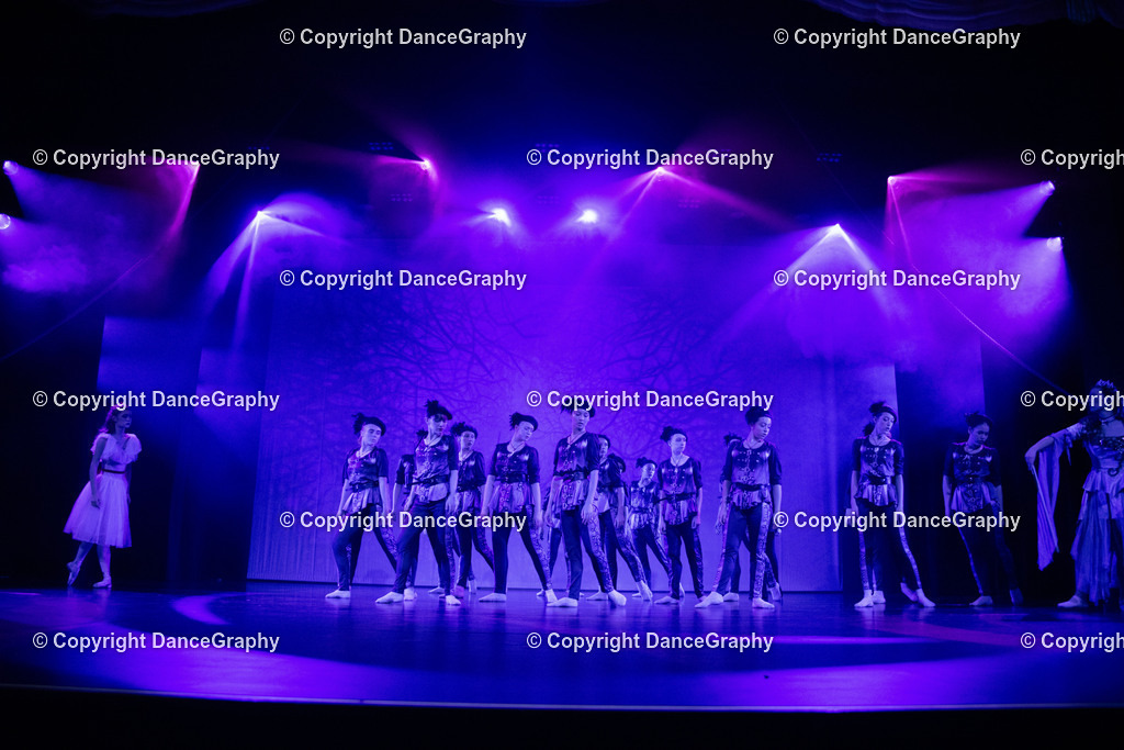 GPHY2769 | DanceGraphy - Realisiert mit Pictrs.com