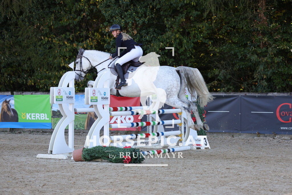 0P6A0906 | Willkommen bei Brunnmayr - Design & Fotografie – Ihrem Spezialisten für Reitturniere und Pferdeveranstaltungen in Oberösterreich, Salzburg und Bayern! Seit über 17 Jahren sind wir leidenschaftlich dabei.