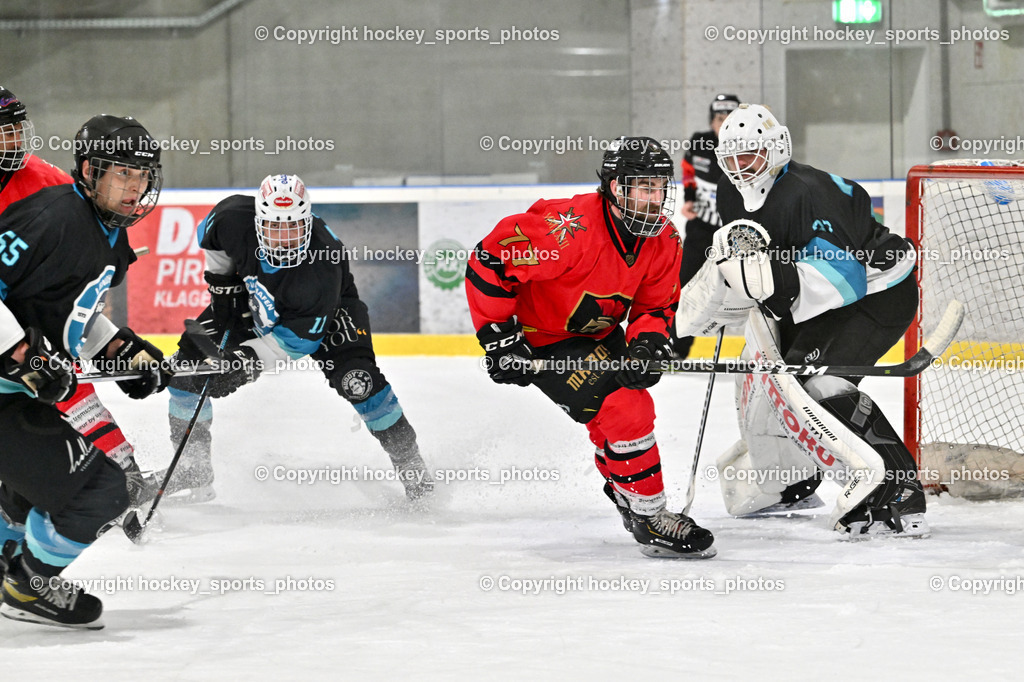Lendhafen Seelöwen vs. Spartans Althofen | #55 Widnig David Lendhafen Seelöwen, #11 Göhringer Marius Lendhafen Seelöwen, #77 Schumnig Stefan Spartans Althofen, #37 Juch Lukas Lendhafen Seelöwen, Lendhafen Seelöwen vs. Spartans Althofen, Lendhafen Seelöwen vs. Spartans Althofen am 14.02.2025 in Ferlach (HTC Eishalle Ferlach), Austria, (Photo by Bernd Stefan)