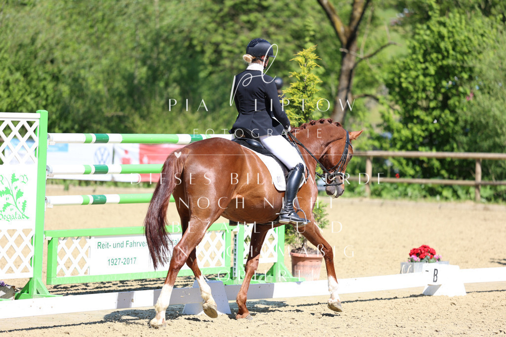 IMGS0726 | pl-fotografie