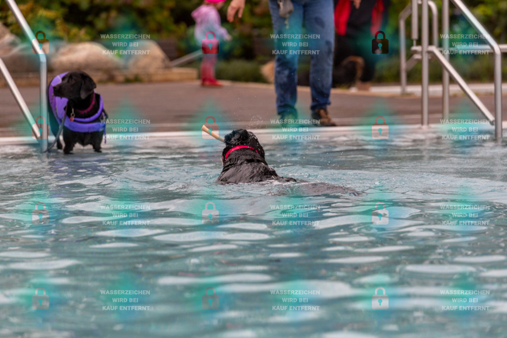 _HP_6281_1000o | HetPix, HetPix Fotodesign, Fotografie, Fotodesign, Webshop, Sportfotografie, Portraitfotografie, Onlineshop, Sportfotografie, Polch, Motorsportfotografie, Eventfotografie