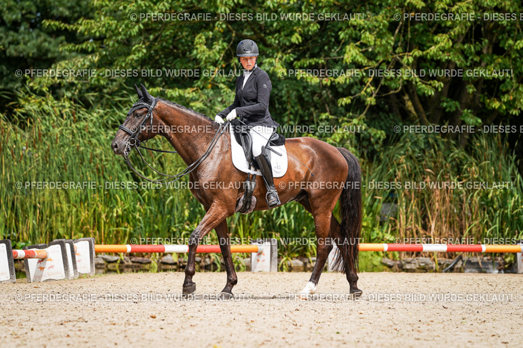 DSC03538 | Pferdegrafie