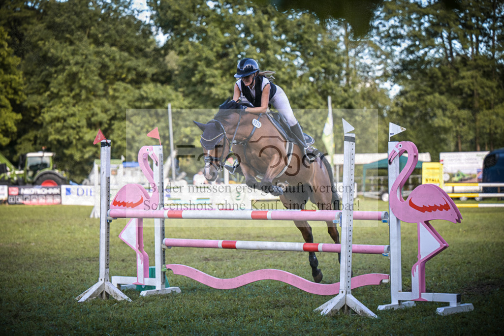 DOS_1103 | Entdecke hochwertige Reitturnierfotos von Foto Oger. Professionell, emotional und authentisch – jetzt Lieblingsmomente im Shop bestellen.Deutschlandweite Turnierfotografie. - Realisiert mit Pictrs.com