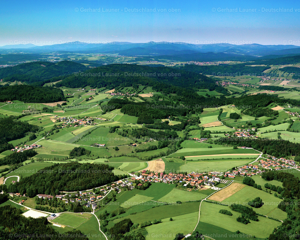 2724235 | Böhmzwiesel