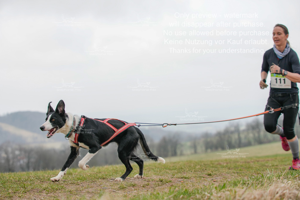 Canixlong-319 | stephaniefillaphotographie - Realisiert mit Pictrs.com