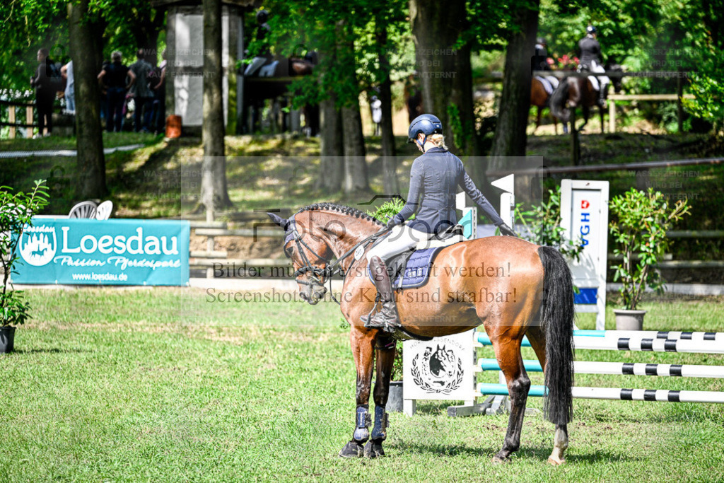 Bissendorfer Reitertage | Entdecke hochwertige Reitturnierfotos von Foto Oger. Professionell, emotional und authentisch – jetzt Lieblingsmomente im Shop bestellen. - Realisiert mit Pictrs.com