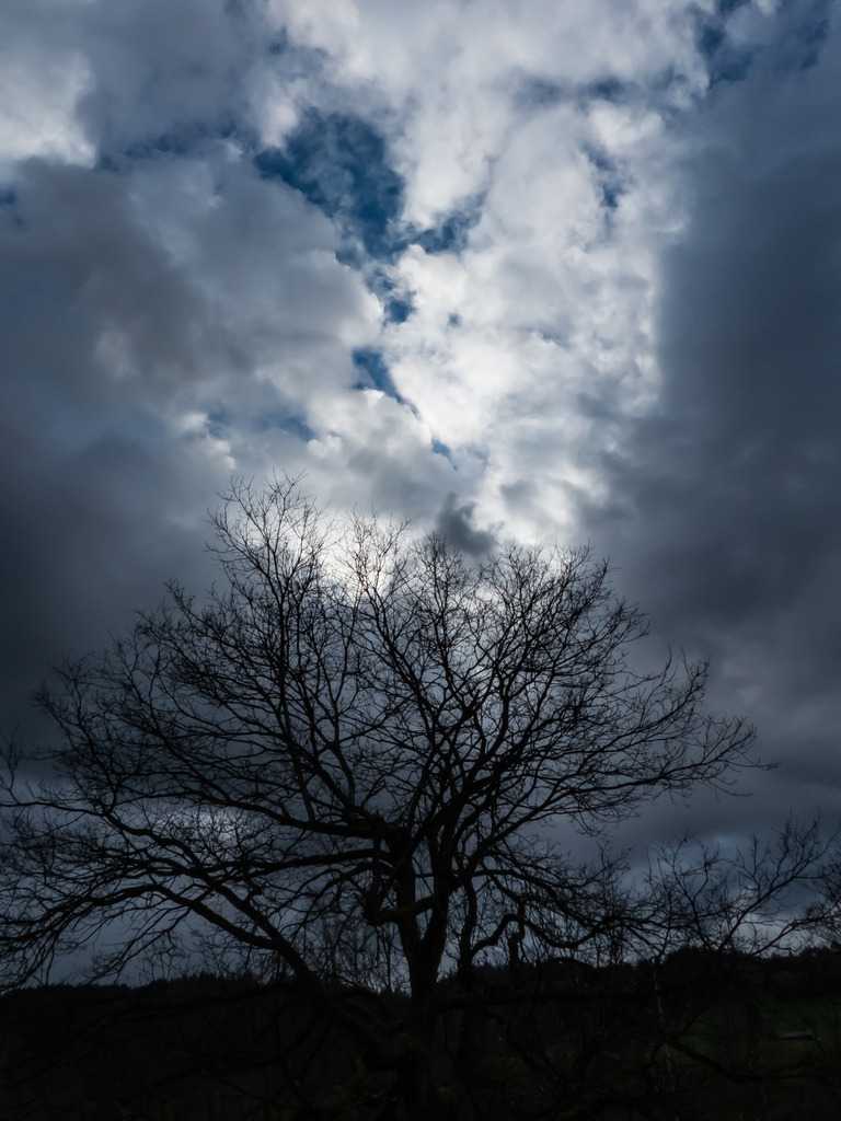 PSX_20230402_222550 | mtkfoto_ - Realisiert mit Pictrs.com