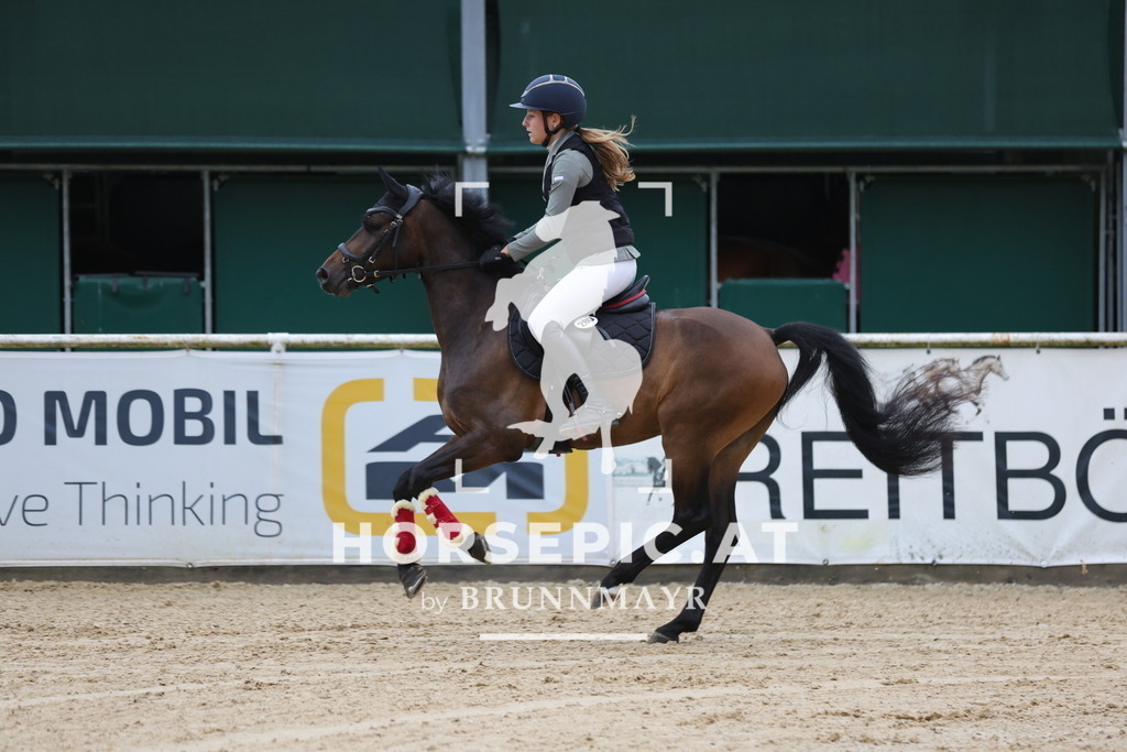 0P6A7045 | Willkommen bei Brunnmayr - Design & Fotografie – Ihrem Spezialisten für Reitturniere und Pferdeveranstaltungen in Oberösterreich, Salzburg und Bayern! Seit über 17 Jahren sind wir leidenschaftlich dabei.