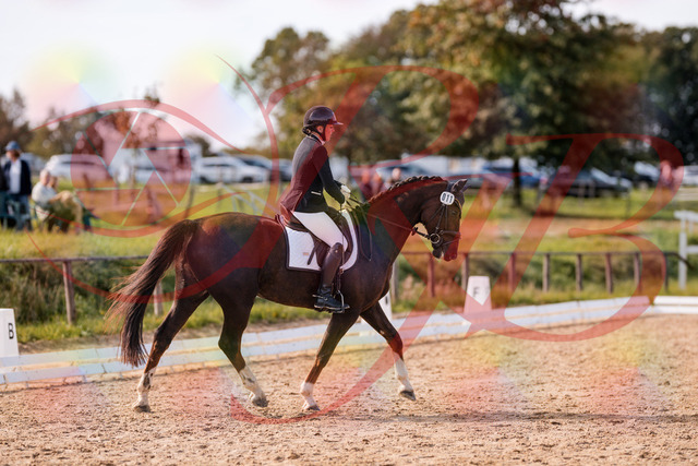 2026_10_03_Siefer-Hof_132535_Z81_76769817 | Professionelle Reitsport-, Turnier- und Eventfotografie von Robert Broda. Galerien mit ausgewählten und bearbeiteten Bildern direkt online ansehen und bestellen.