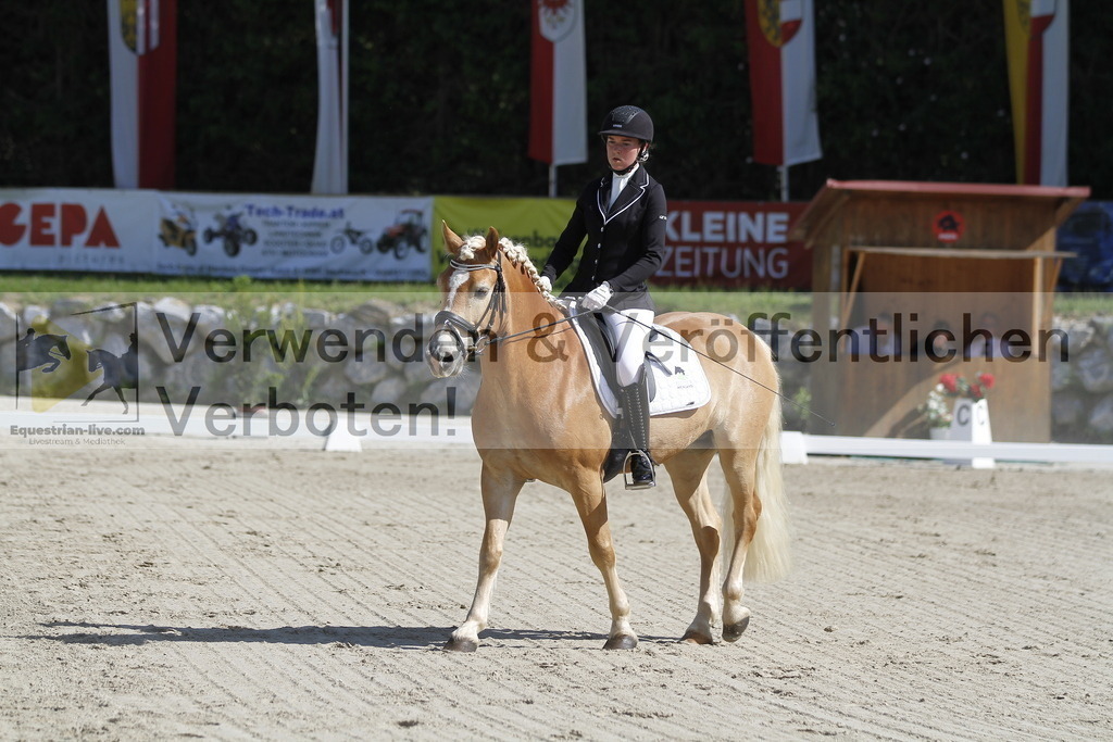 _MG_6521 | equestrian-live-com