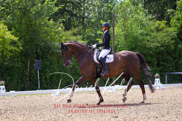 DKP40938 | Turnierfotos kaufen im Webshop von Daniel Kuhl Photography – entdecke professionelle Reitsportfotos aus Turnieren & Events. Hochwertige Turnierbilder online bestellen & sichern. Jetzt Fotos von Reitsportturnieren kaufen!