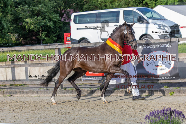 Regelia (68 von 90) | mandyhollmannphotographie