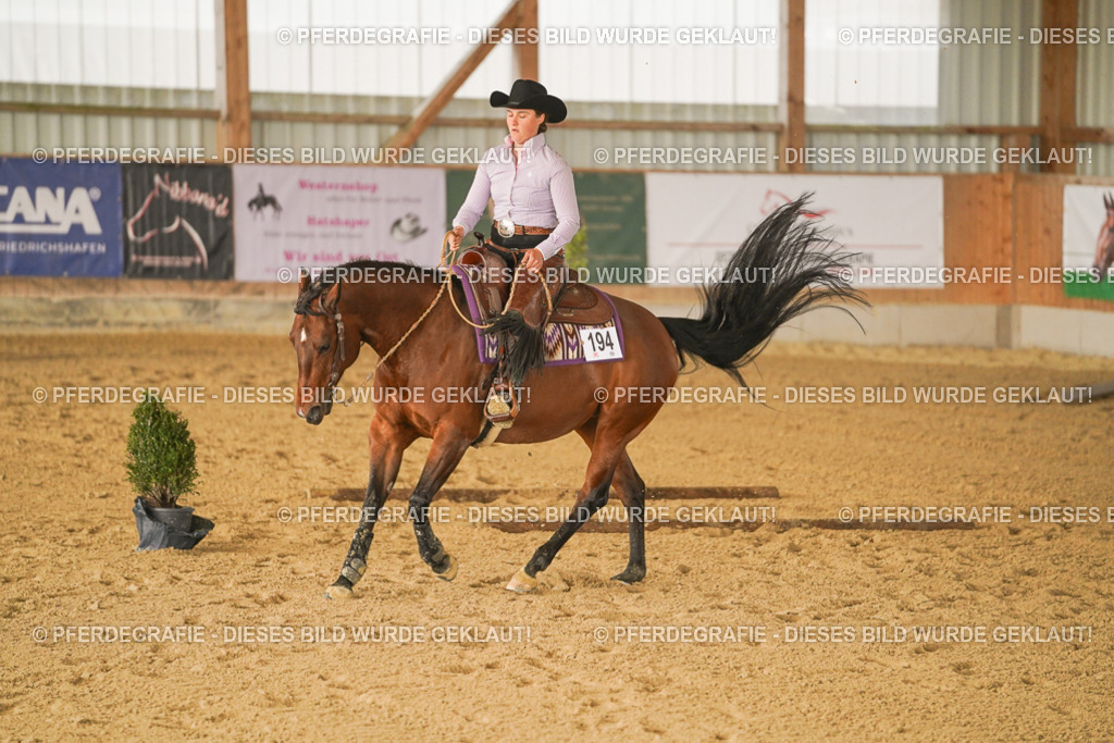 DSC02013 | Pferdegrafie