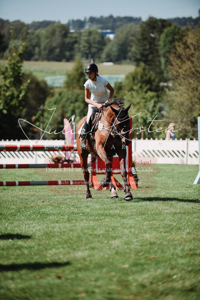 DSC_3121 | Pferde- und Turnierfotografie in Westsachsen. Pferdeportraits, Auftragszeichnungen und intuitive Kunst.
