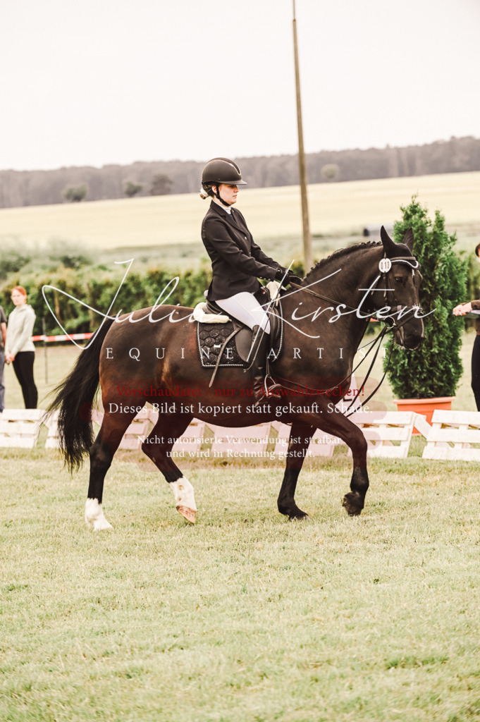 DSC_5067 | Pferde- und Turnierfotografie in Westsachsen. Pferdeportraits, Auftragszeichnungen und intuitive Kunst.