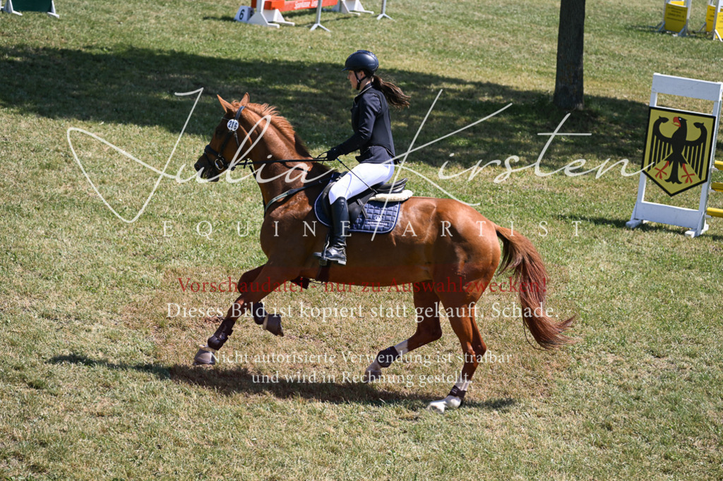 DSC_9967 | Pferde- und Turnierfotografie in Westsachsen. Pferdeportraits, Auftragszeichnungen und intuitive Kunst.