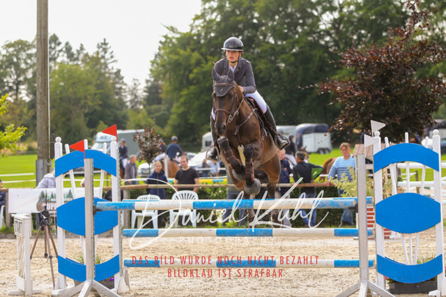 DKP43714 | Turniersportfotografie; Pferdefotografie; Dressurfotografie