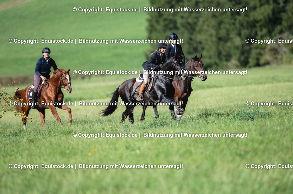 20251011_Jagd-Marbach_0254 | Foto: Thomas Hartig