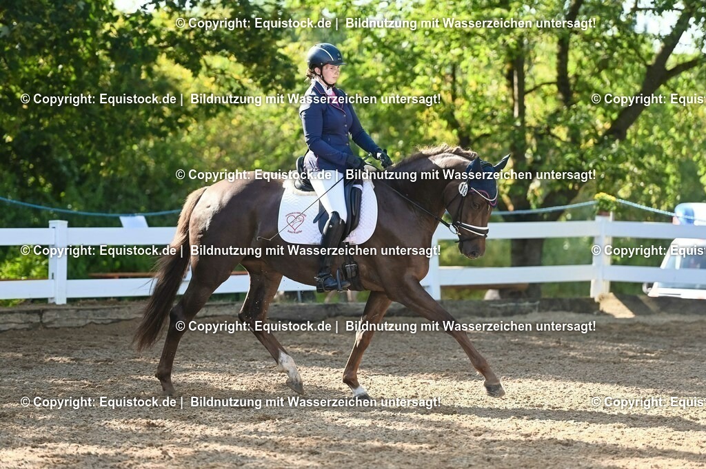 20230715_06_Dressurpferdeprfg. Kl.A_0131 | equistock